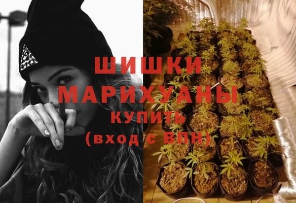 стаф Абдулино