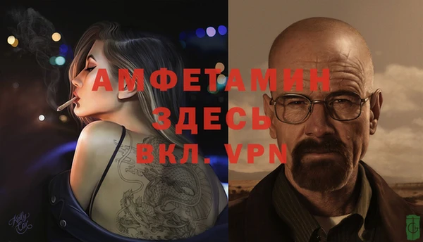 дмт Абаза