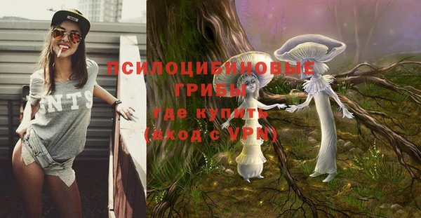 стаф Абдулино