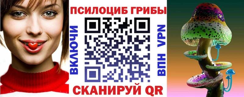 дарк нет официальный сайт  Вологда  Галлюциногенные грибы Psilocybine cubensis 