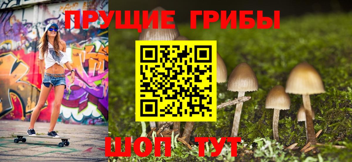Вологда  Псилоцибиновые грибы Psilocybe  Вход с VPN  Галлюциногенные грибы мухоморы 